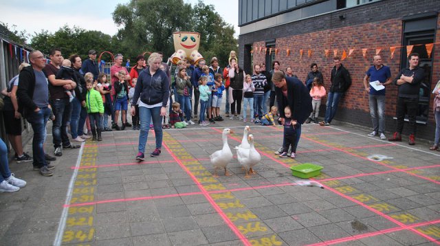Kans met een Gans (zondag 22 oktober 2017)